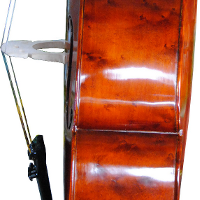 cello bridge