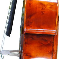 cello f hole